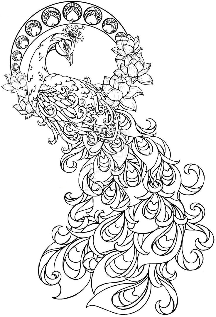 Paisley Peacock Coloring Pages For Adults Printable Henna Inside 736x1081 Paisley Peacock Coloring Pages For Adults Printable Henna Inside