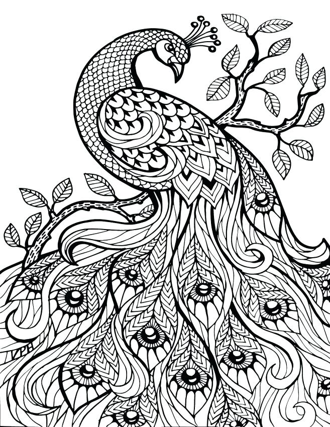 657x850 Henna Coloring Pages Henna Animal Coloring Pages Henna Mandala