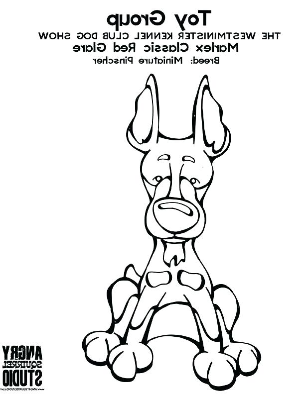 Matisse Coloring Pages Coloring Pages Pin By Angry Squirrel Studio 612x792 Matisse Coloring Pages Coloring Pages Pin By Angry Squirrel Studio