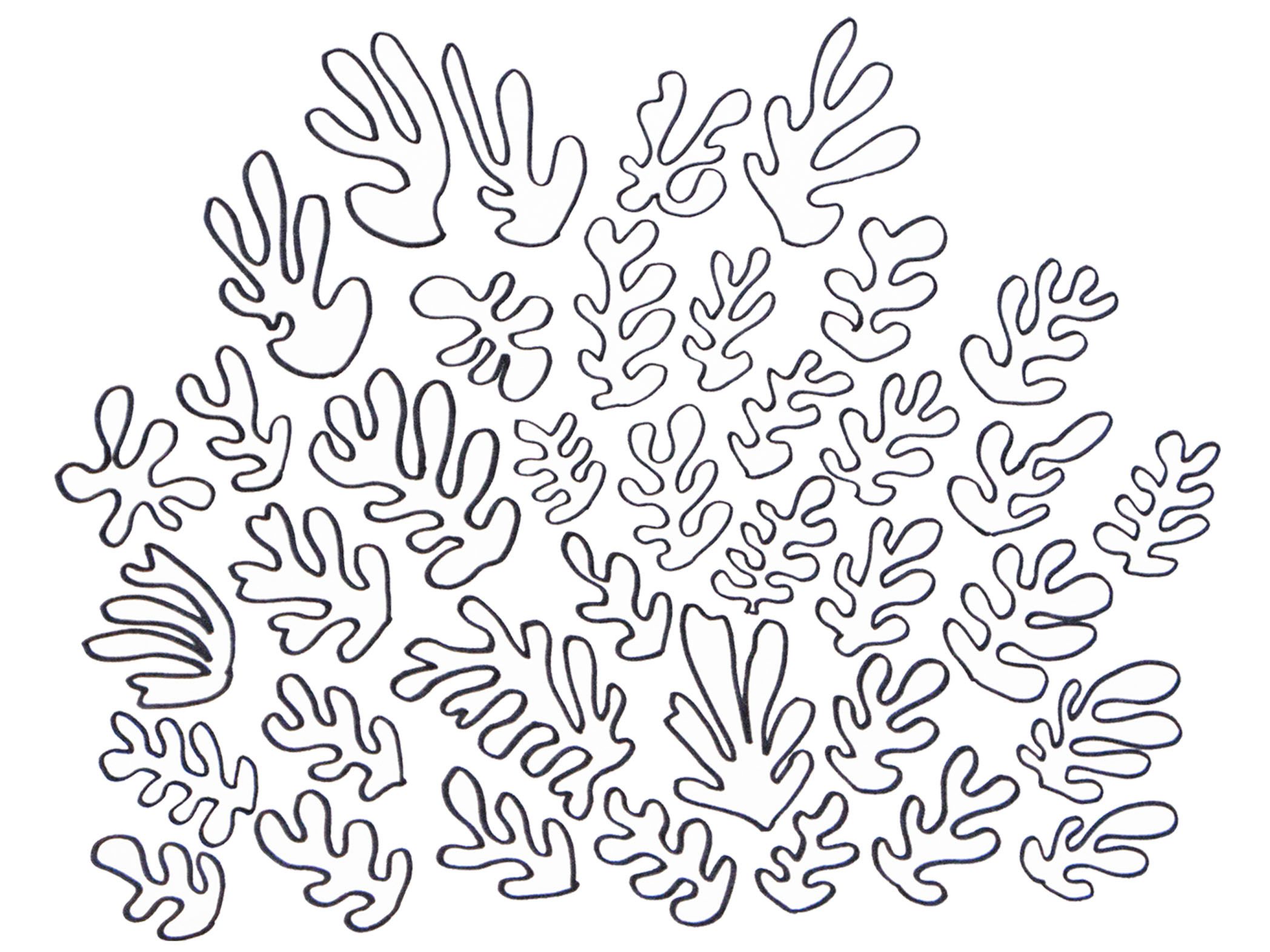 Matisse Snail Colouring Pages Tagged With Matisse Coloring Pages 2096x1571 Matisse Snail Colouring Pages Tagged With Matisse Coloring Pages