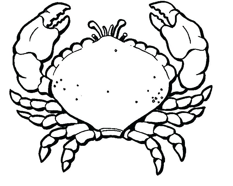 Crab Coloring Pages Crab Coloring Pages Mesmerizing Crab Coloring 795x634 Crab Coloring Pages Crab Coloring Pages Mesmerizing Crab Coloring