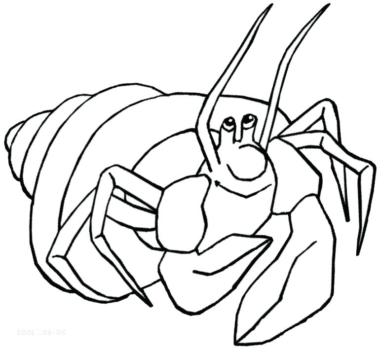 Download Hermit Crab Coloring Pages Download Hermit Crab Coloring 768x708 Download Hermit Crab Coloring Pages Download Hermit Crab Coloring
