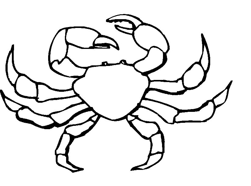 Hermit Crab Coloring Page 824x612 Hermit Crab Coloring Page