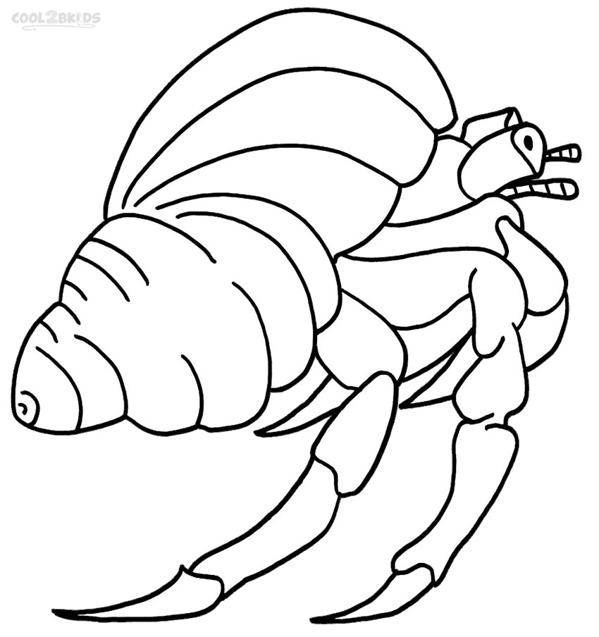Printable Hermit Crab Coloring Pages For Kids Cool2bkids 850x904 Printable Hermit Crab Coloring Pages For Kids Cool2bkids