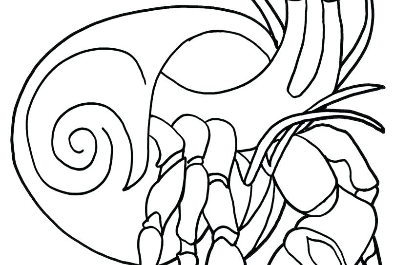 Hermit Crab Coloring Pages 850x544 Hermit Crab Coloring Pages