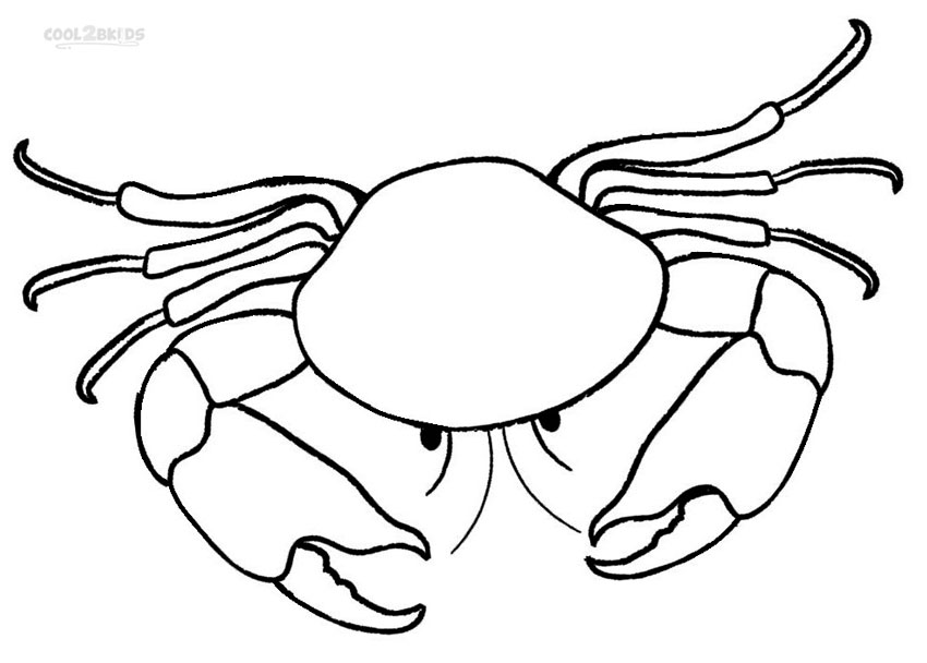 Chic Inspiration Crab Coloring Pages Hermit Crab Coloring Pages 850x608 Chic Inspiration Crab Coloring Pages Hermit Crab Coloring Pages
