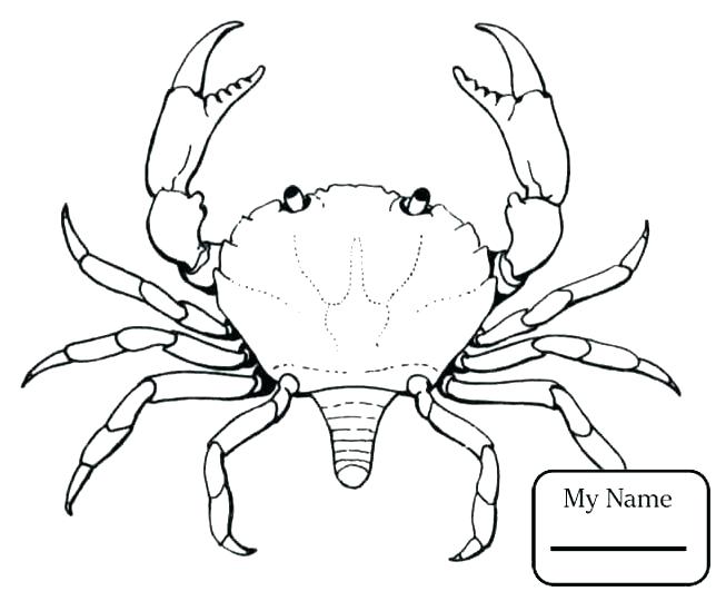 Crab Coloring Page Coloring Pages Coloring Pages Crab Coloring 653x540 Crab Coloring Page Coloring Pages Coloring Pages Crab Coloring
