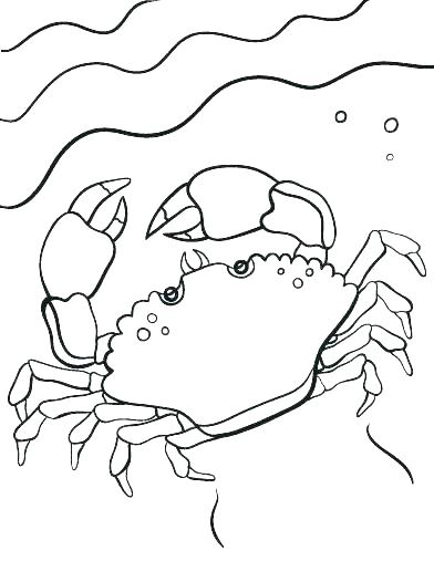 Crab Coloring Page Crab Coloring Pages To Print Crab Coloring Page 392x507 Crab Coloring Page Crab Coloring Pages To Print Crab Coloring Page