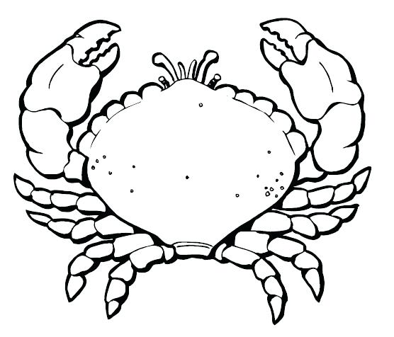 Crab Coloring Page Free Printable Crab Coloring Pages For Kids 556x476 Crab Coloring Page Free Printable Crab Coloring Pages For Kids
