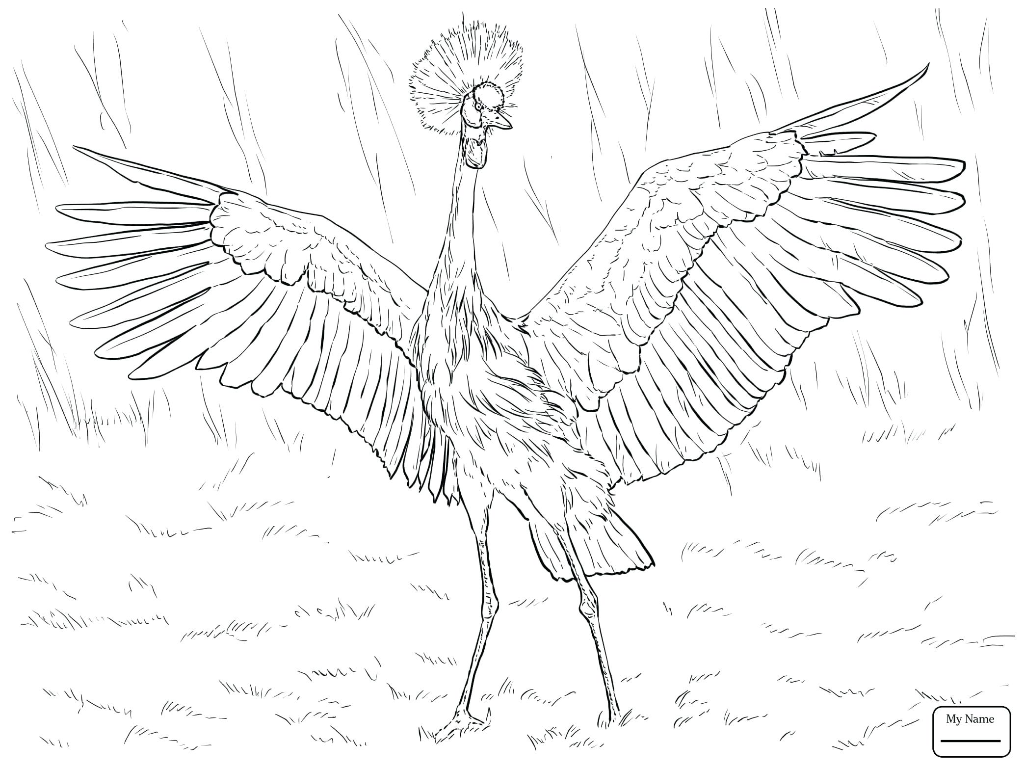 2089x1567 Coloring Pages Christmas Eating Frog Stock Photos Images Page 2