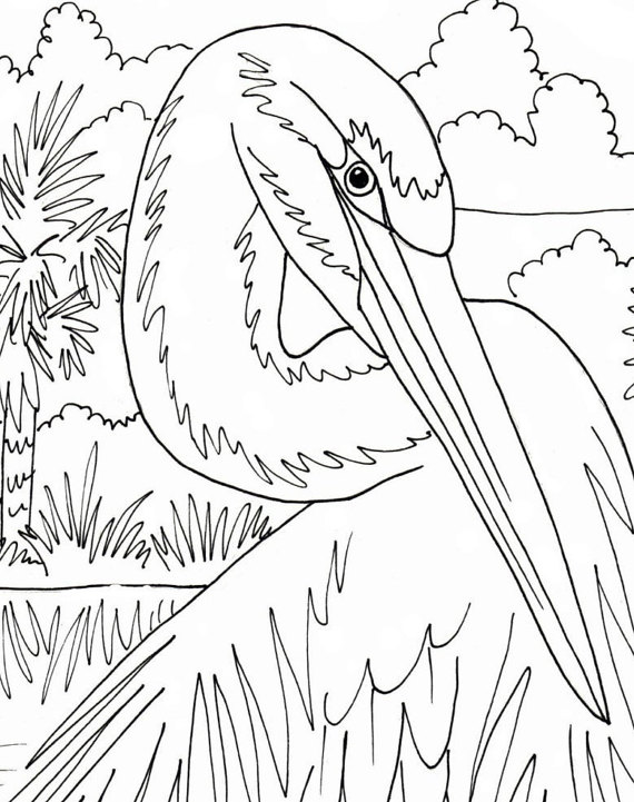 570x721 Egret Coloring Page Embroidery Pattern Digital Download
