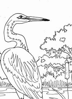 235x321 Great Blue Heron Coloring Page, Beach Art, Digital Download, Adult