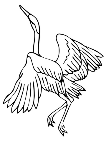 360x480 Heron Dance With Funny Face Coloring Page