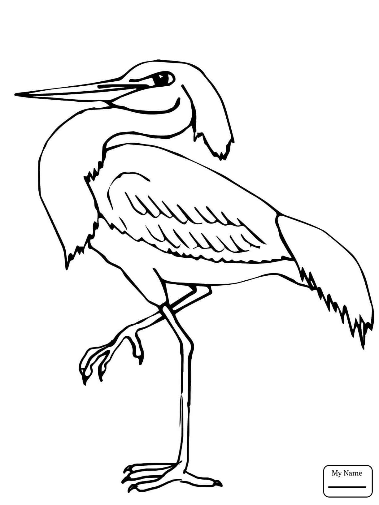 Heron Coloring Page at GetColorings.com | Free printable colorings ...