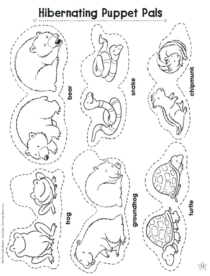 736x968 Hibernating Animals Coloring Pages Now Hibernating Animals