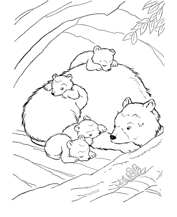 Hibernating Bear Coloring Page