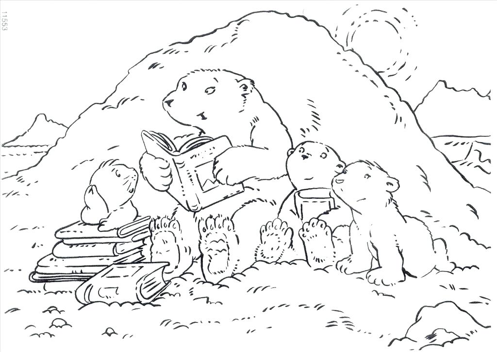 1024x726 Hibernating Bear Coloring Page Polar Bear Coloring Page Great