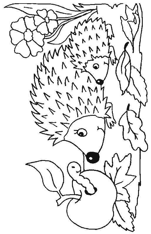 514x794 Hibernation Coloring Pages 380e7839bb1ff75dcac60addd962b68d.jpg