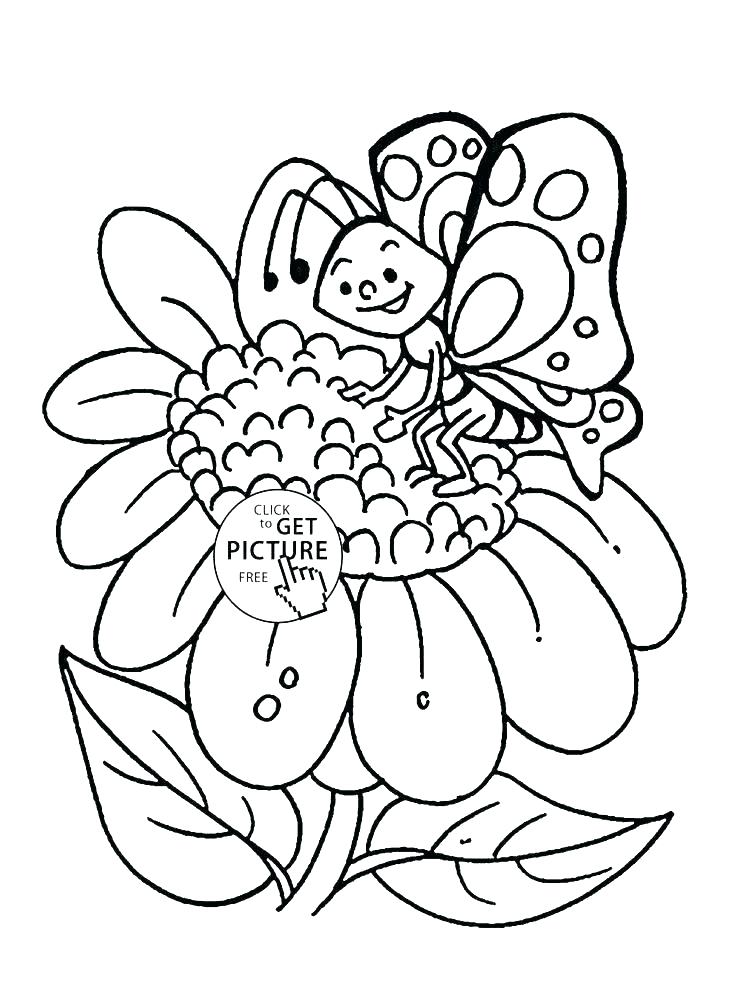 736x993 Hibiscus Coloring Page Hibiscus Coloring Page Hibiscus Flower