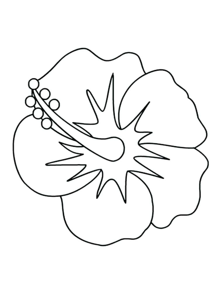 750x1000 Flower Color Pages Hibiscus Flower Coloring Pages 8 Flower Design