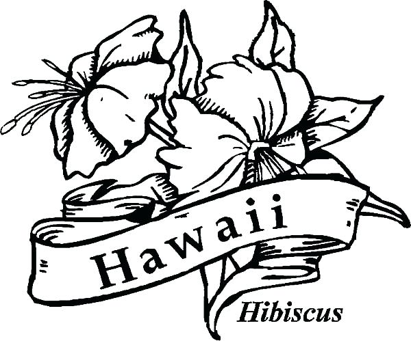 600x499 Flower Hibiscus Coloring Pages Flower Hibiscus Flower Hibiscus
