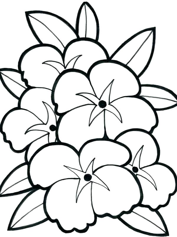 600x803 Hibiscus Flower Coloring Pages Flower Coloring Page Hibiscus
