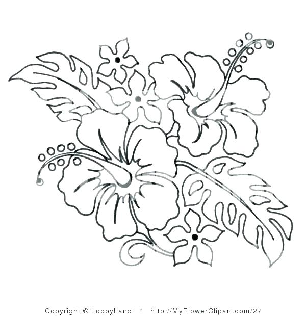 600x620 Hibiscus Flower Coloring Pages Hibiscus Flower Coloring Pages
