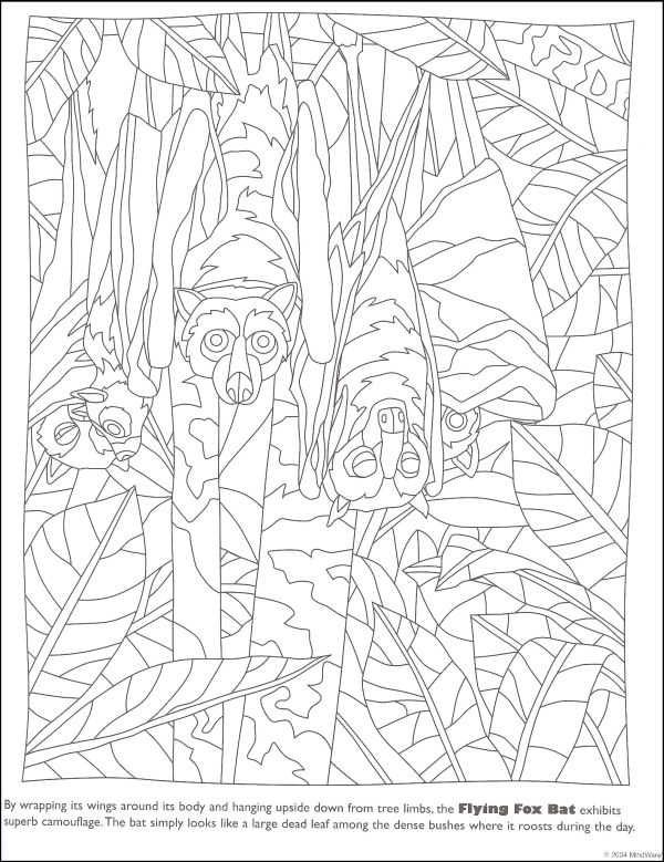 Hidden Coloring Pages