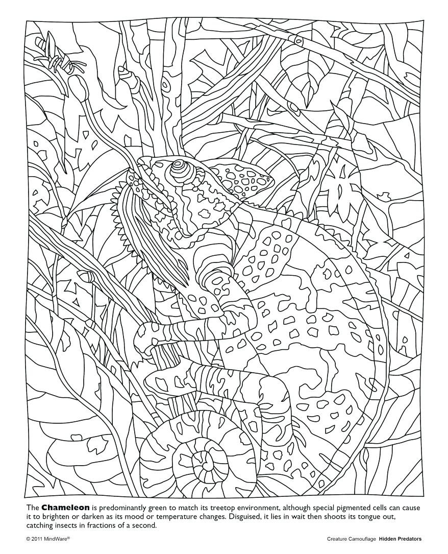 Color Counts Coloring Pages Hidden Picture For In 878x1085 Color Counts Coloring Pages Hidden Picture For In