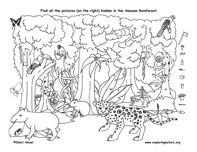 Printable Hidden Objects Coloring Pages Coloring Page For Kids 792x612 Printable Hidden Objects Coloring Pages Coloring Page For Kids
