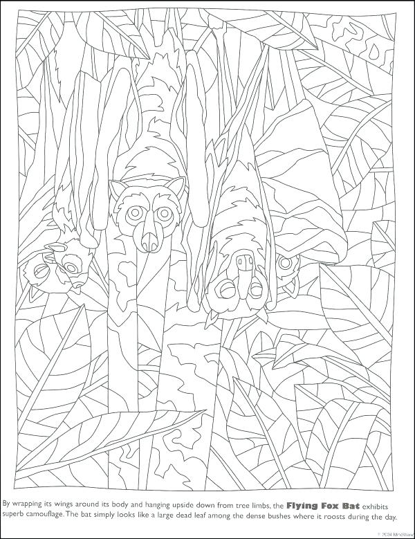 600x779 Hidden Picture Coloring Pages Printable Hidden Picture Hidden