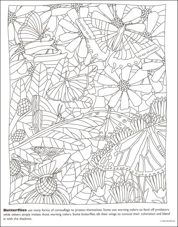 600x766 Mindware Hidden Coloring Pages