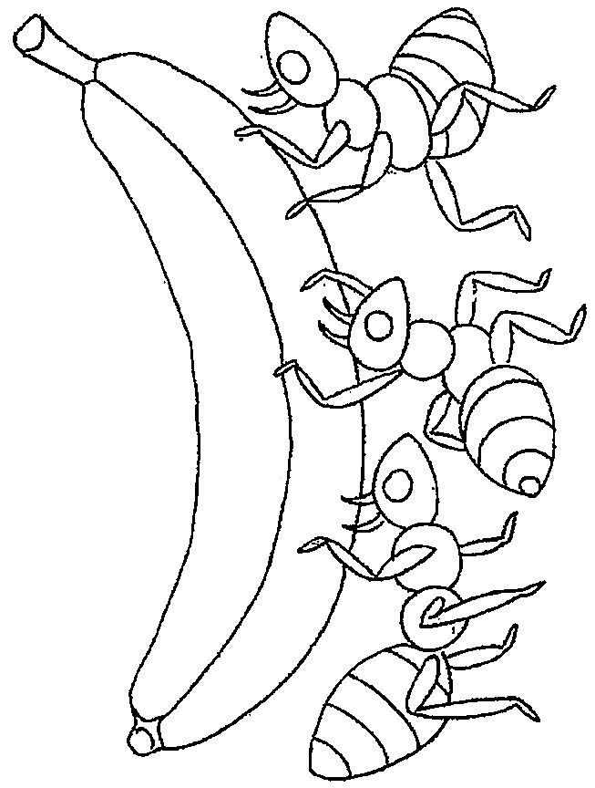 653x864 Fresh Ant Hill Coloring Page 8 Best Ants Project Images