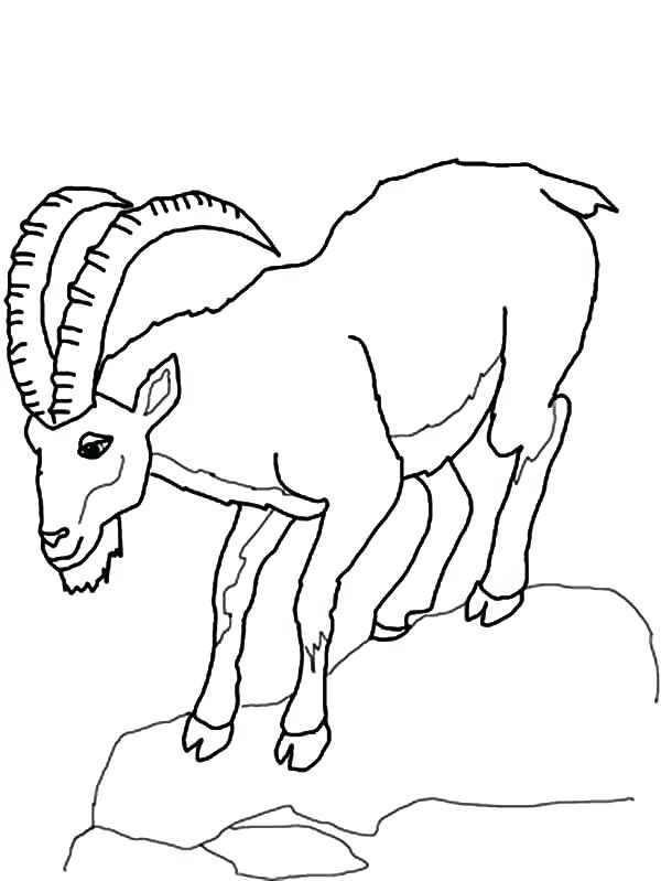 600x799 Mountain Coloring Page Mountain Goat Climb Down Hill Coloring