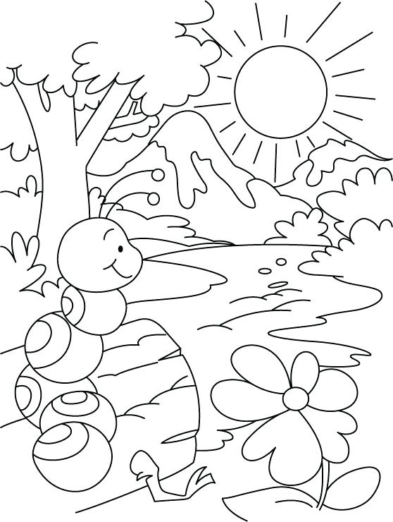 558x740 Ant Coloring Page Bullet Ant Coloring Page Ant Hill Colouring