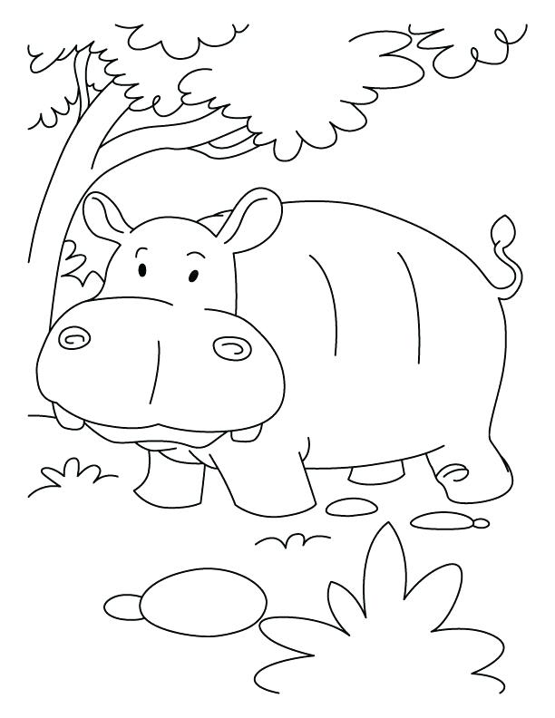 Hippo Coloring Pages at GetColorings.com | Free printable colorings ...