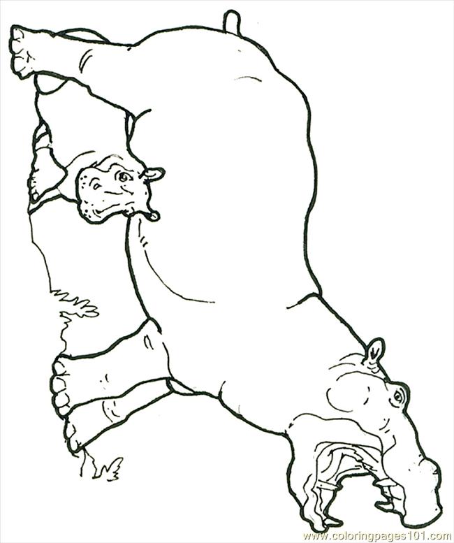 650x777 Hippo Coloring Pages Printable