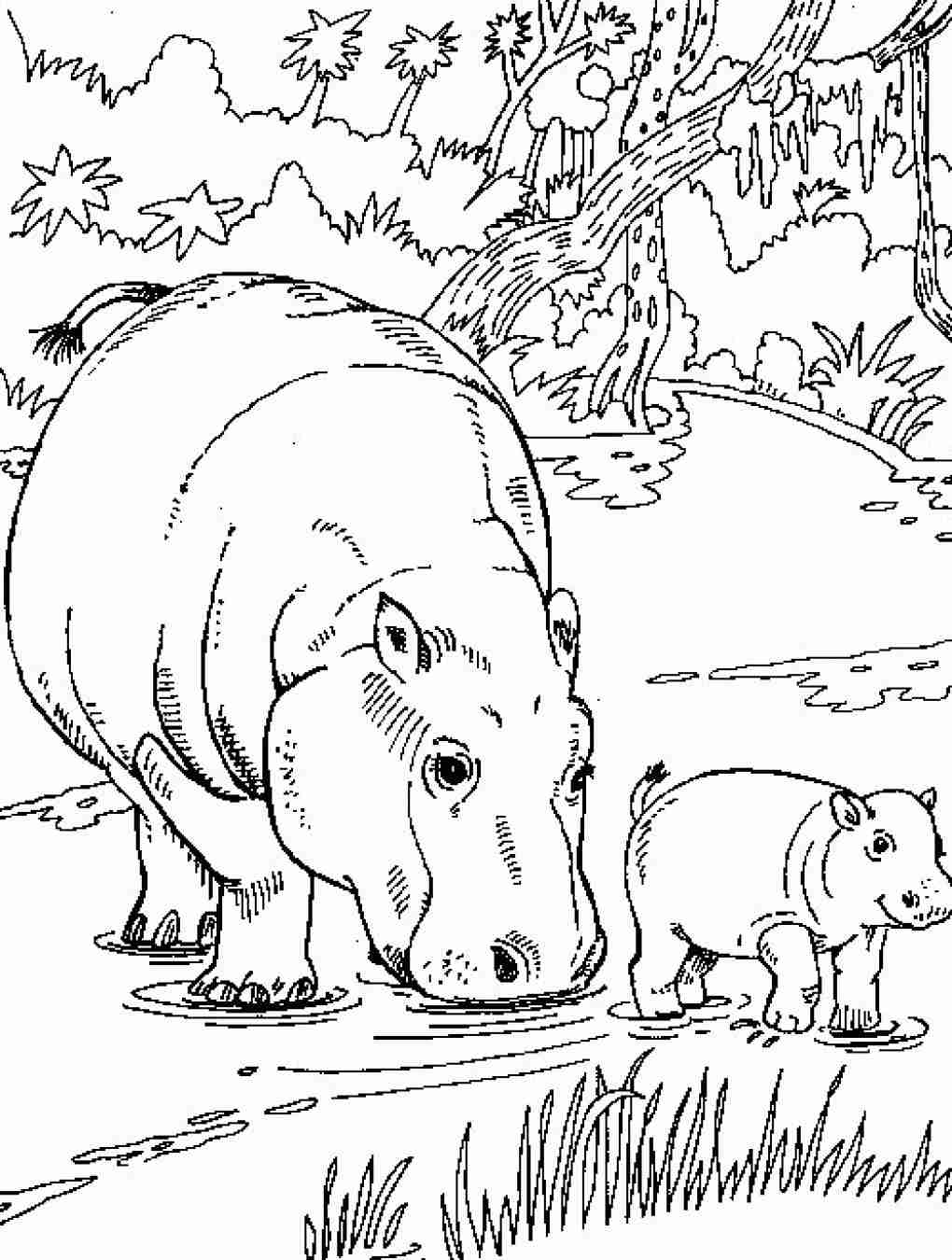 1020x1350 Free Printable Hippo Coloring Pages For Kids Lovely Olegratiy