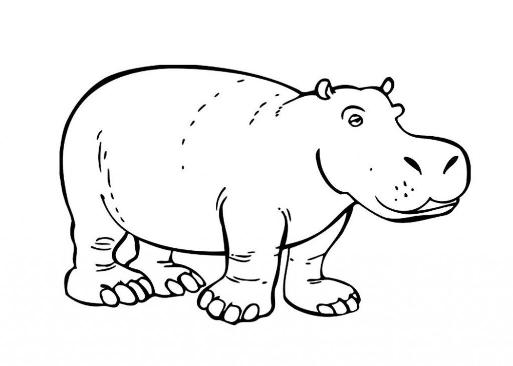 Hippo Coloring Pages For Kids at GetColorings.com | Free printable ...