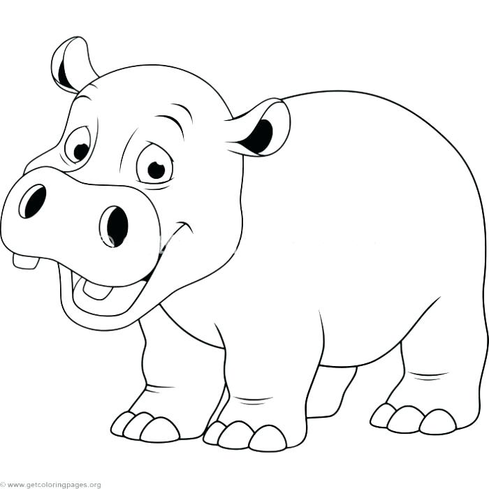 700x700 Hippo Coloring Pages Baby Hippo Coloring Pages Hippo Coloring