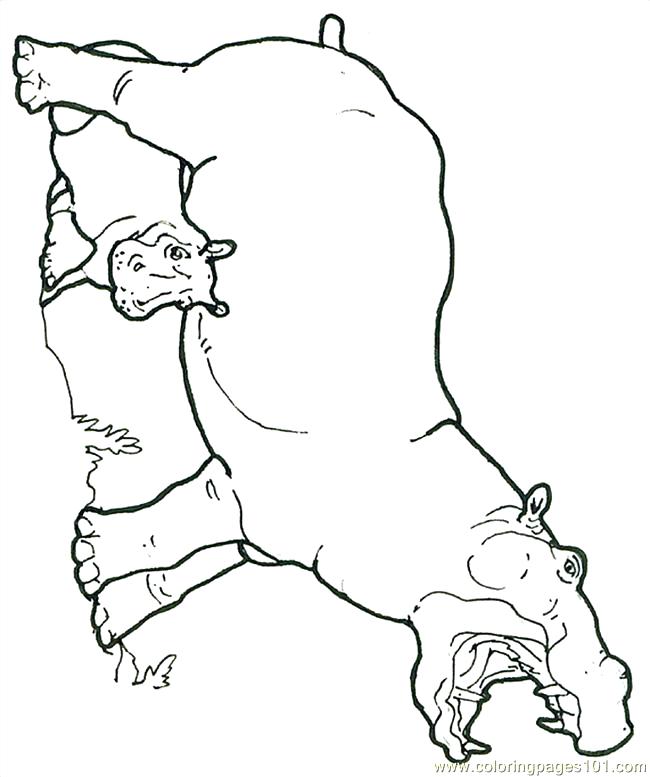 650x777 Hippo Coloring Pages Mural Hippo With Baby Reversed Coloring Page