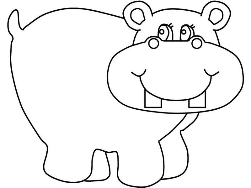 800x600 Animal Coloring Pages