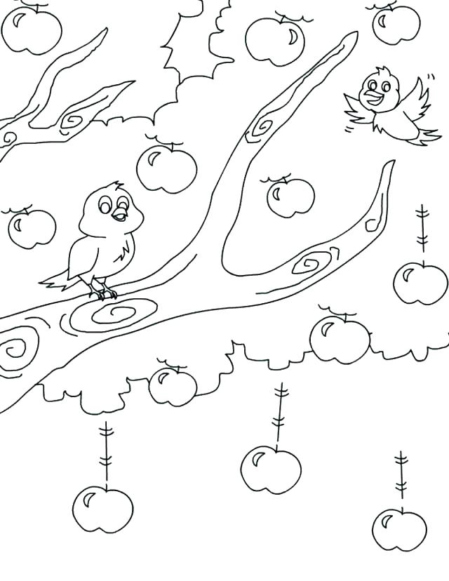 640x828 Tree Coloring Sheet Tree Coloring Page Craft I Need More Damn