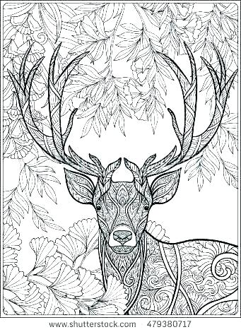 Hog Coloring Page at GetColorings.com | Free printable colorings pages ...