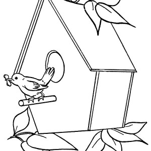 300x300 Bird House With Three Holes Coloring Pages Best Place To Color