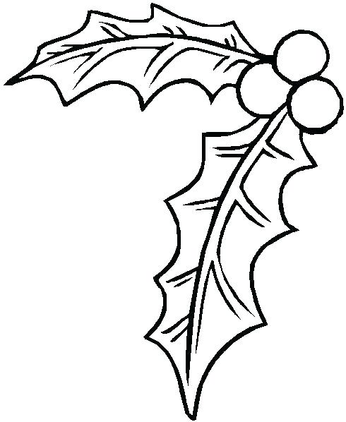 490x598 Holly Coloring Page Holly Coloring Page Holly Coloring Page Holly