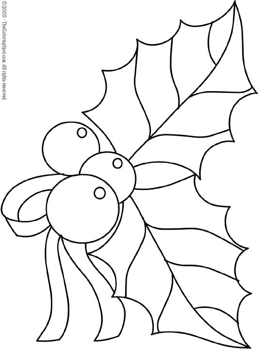 540x720 Mistletoe Coloring Pages Mistletoe Coloring Pages Holly Coloring