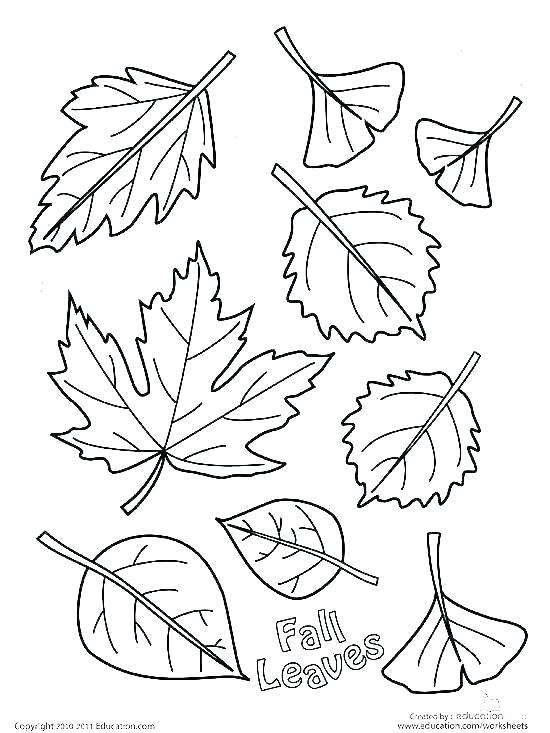 Holly Leaf Coloring Page at GetColorings.com | Free printable colorings ...