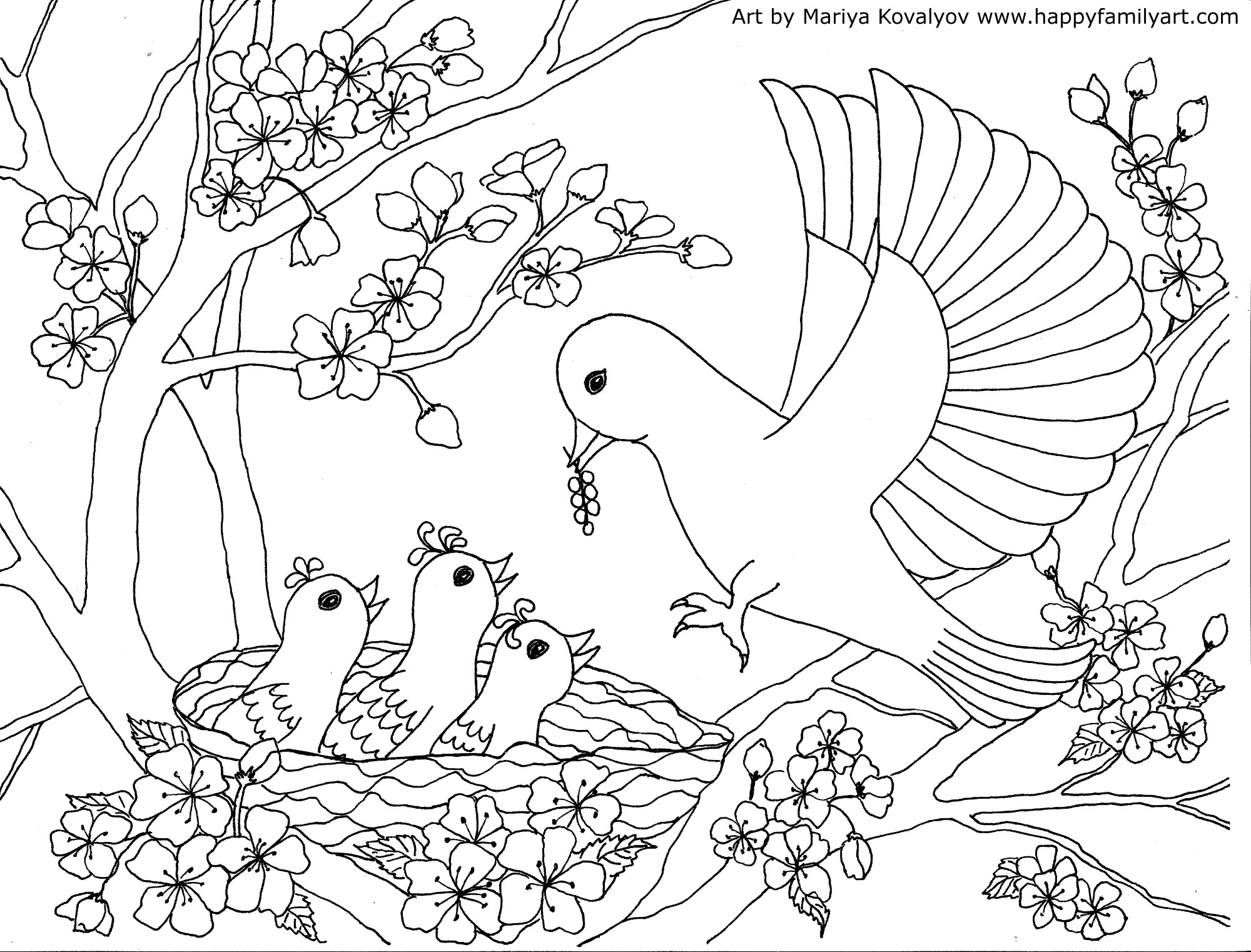 2000x1522 Birds Coloring Pages To Knowing The Kind Of Bird Sheets Sheet