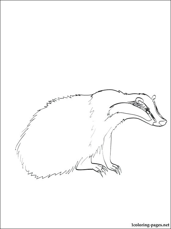 Badger Coloring Page Honey Badger Coloring Pages 560x750 Badger Coloring Page Honey Badger Coloring Pages